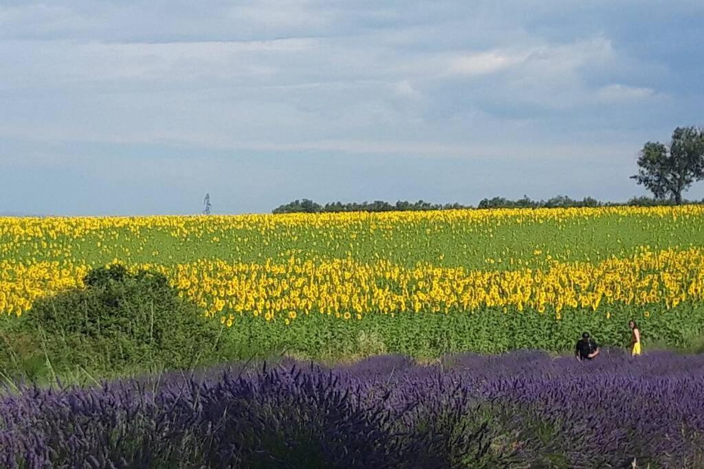 Lou Paradiu Du Verdon Allemagne-en-Provence Esterno foto