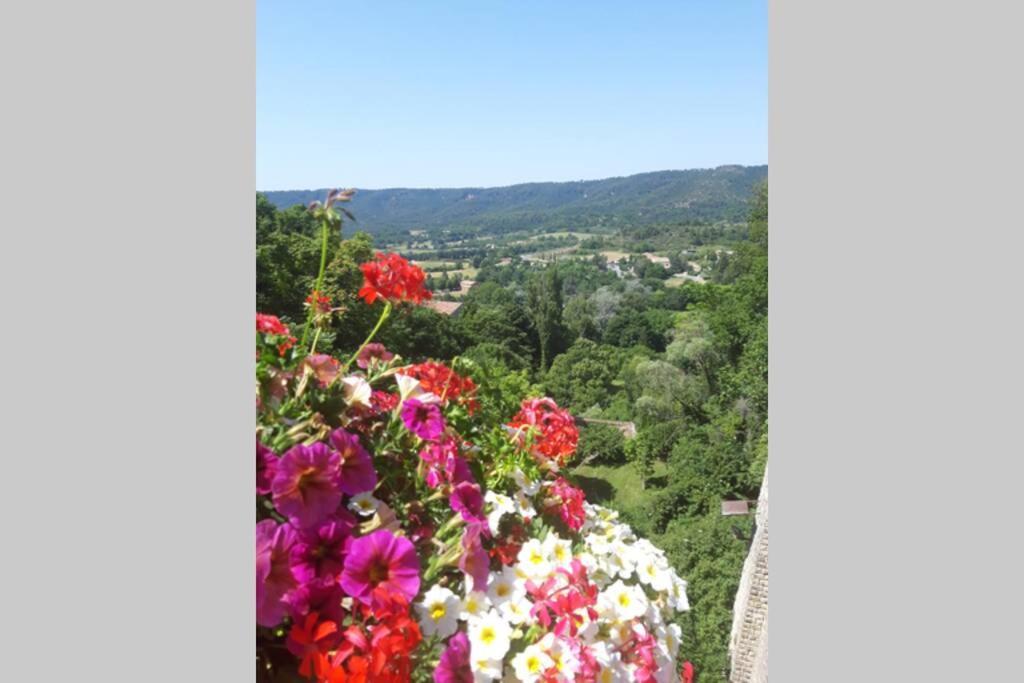 Lou Paradiu Du Verdon Allemagne-en-Provence Esterno foto